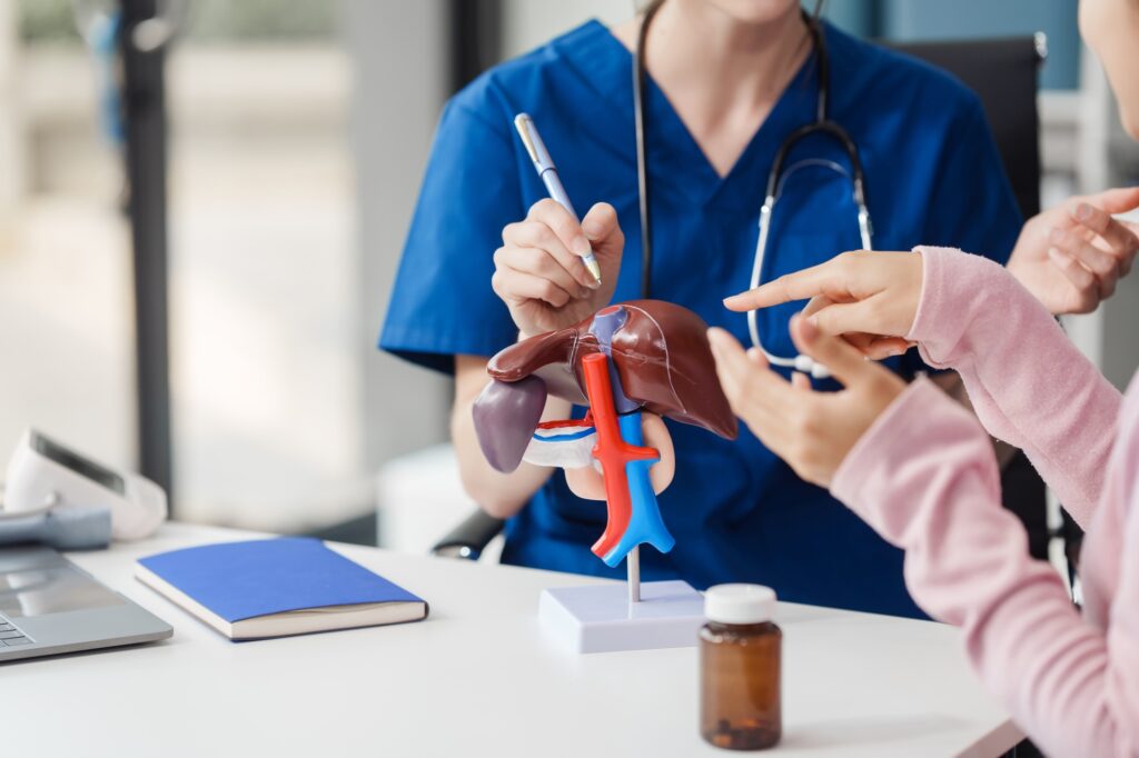 Caucasian liver professional female doctor explain to asian female patient using human liver model